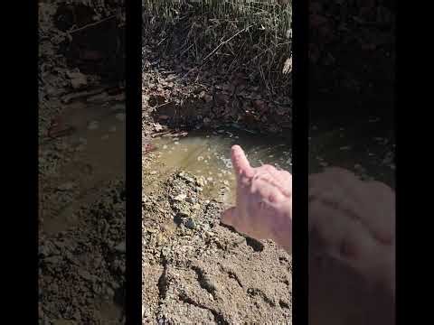 The First Gold of 2026 GOLD PROSPECTING IN INDIANA W/‪@a3skywarrior929‬ #IBPC