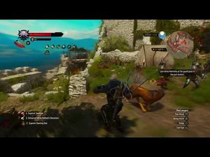 Witcher 3 - Testing the Freeze + Aard sign in death march | Blood and Wine