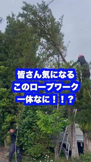 もやい結びのやり方【もやい結び応用編】ランニングボーライン