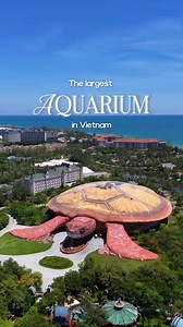 Vietnam's Largest Aquarium: The Sea Shell at VinWonders Phu Quoc