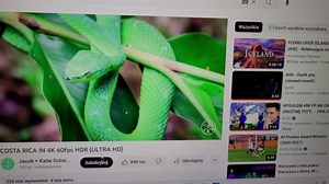 When I hover my mouse over a video, it starts blinking a few times, then it kind of changes color and the effect disappears until I switch tabs or minimize the browser. I have the latest Windows and graphics card drivers. Changing the browser as well as the format did not help anything.