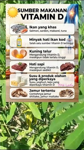 sumber makanan dari vitamin d yang wajib diketahui