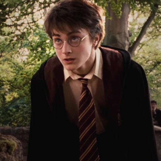 Harry Potter Fan Edits: Waiting for the Magic