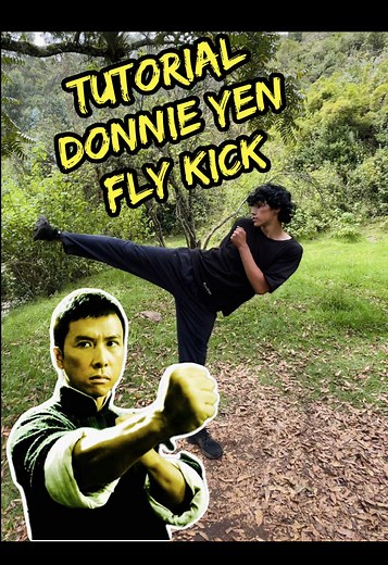 Cómo realizar el fly kick de Donnie Yen