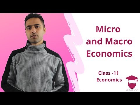 Micro and Macro Economics in Nepali || Class 11 || Economics