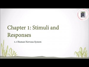 Science | Form 3 | Chapter 1 - 1.1 Human Nervous System (Part 1)