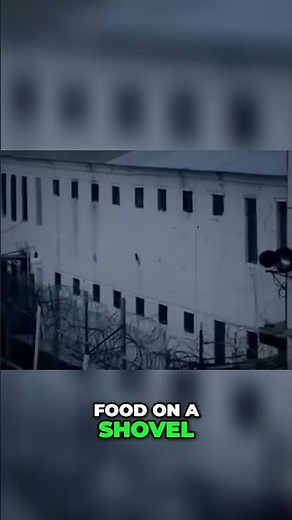 Inside the Black Dolphin Prison: Life in Isolation