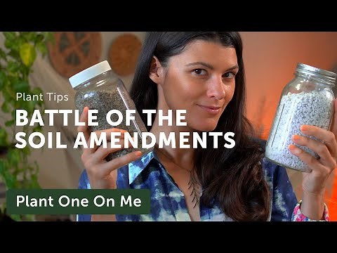 PERLITE vs. VERMICULITE: Which is Better? — Ep 199