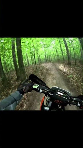 2 stroke sounds amazing in the woods #2stroke #dirtbike #enduro #ktm #ktm250xcw