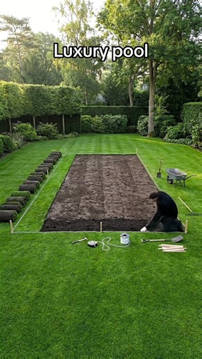 Transform Your Backyard with a Luxury Pool Build