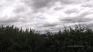 F-22 and P-51 Flying Together