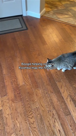 Meet Roombecca: Our New iRobot Roomba 205 Combo!