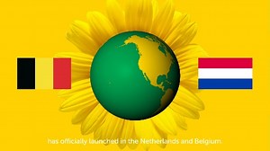1.7K views · 80 reactions | Going Dutch! Today the Hidden Disabilities Sunflower has launched in the Netherlands and Belgium! This means that people living with a hidden disability in these regions will now benefit from wider awareness of the Sunflower. And of course when we can fly again, your positive Sunflower experience won’t end with the flight! For more information visit: https://bit.ly/2ZW1MaE | Hidden Disabilities Sunflower | Facebook