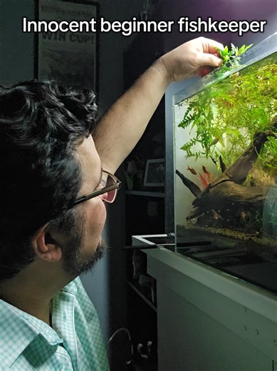 Understanding Bladder Snails in Fishkeeping