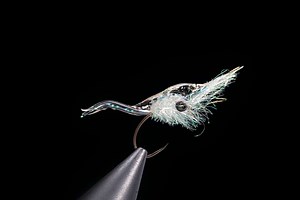 All about Mysis shrimp and How to tie fly.