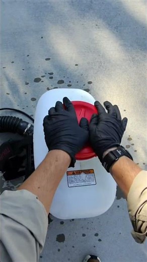 Sounds of Pest Control Pt.3