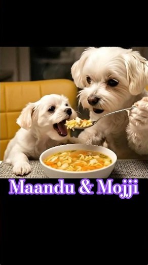 Chicken Noodle Soup for the Puppy Soul😌 #aianimals #puppy #cutedogs #cutepuppy #dogvideos #cutepet