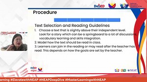 PROFESSIONAL DEVELOPMENT PROGRAMS FOR THE SY-2024-2025 IN SERVICE TRAINING (INSET)