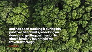 NJ hunter kills 770-pound black bear, setting state record: ‘Smartest animal I’ve chased’