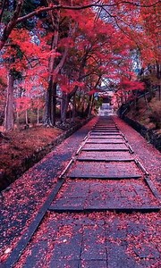 32K views · 2.1K reactions | So beautiful - the beautiful of nature | Amazing Moments | Facebook