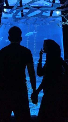 The True Meaning of Love: Beyond Fun
