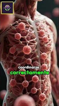 The space between your cells is more important than you think.