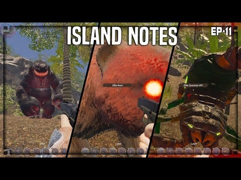 What’s Inside The Sunken Ship? Island Notes 11