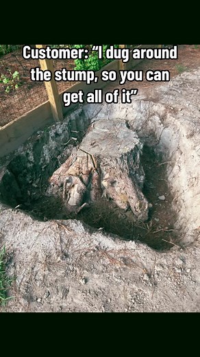 #stumpgrinding #stumpremoval #hamptonva #improvise | Tree Stump Ideas