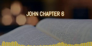 John Chapter 6