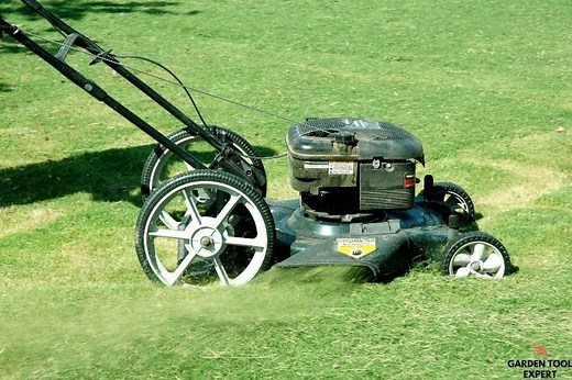Mowing Without a Bag, what is the best way? What pros say