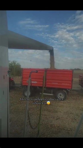 Marija (@marija.manojlovic45)’s videos with original sound - ✨