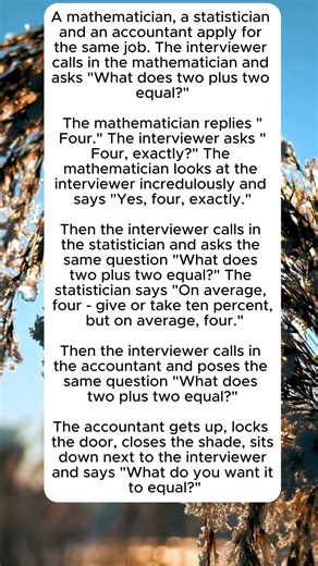 Two Plus Two #interview #math #funny #accountant #comedy #jokes #humor #statistician #smart #trick