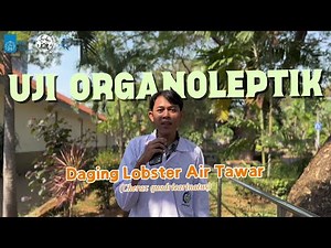 Metode Uji Organoleptik Daging Lobster Air Tawar