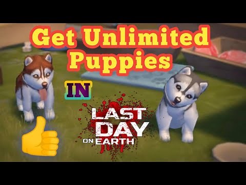 How to get Puppies in Last Day On Earth ? Locations to get puppies