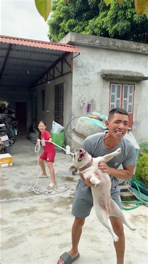 UNBELIEVABLE! 😱🔥 A Tiny Baby Stops Dog Thieves and Saves a Puppy! # #pets a#dog #lovedog