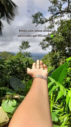 කොලපාට පිරුණු පරිසරයකට පුලුවන් ඇවිලුණු හිත් නිවන්න💚