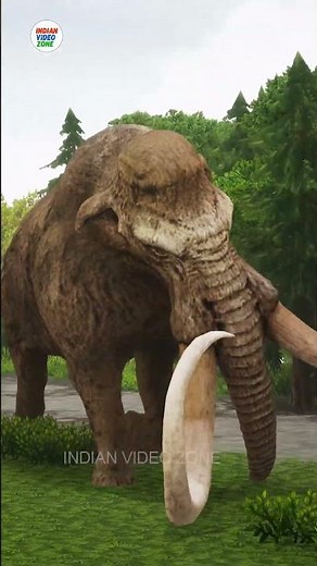 The Giant Mammoth Elephant VS T- rex:Which one will Win? @INDIAN VIDEO ZONE