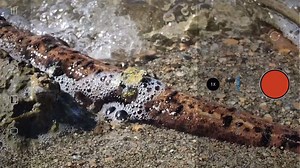 Cosa si può fare con i 108 MP della fotocamera di Mi 10 Pro? Alessio Albi Photography è riuscito a realizzare scatti di qualità professionale in collaborazione con GQ Italia. Curiosi di sapere come? Scopritelo in questo video dietro le quinte! | Xiaomi Italia