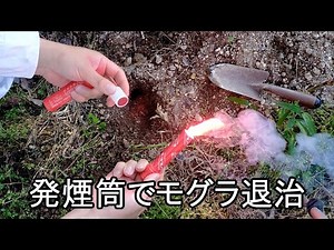 畑のモグラ対策 発煙筒でモグラ退治
