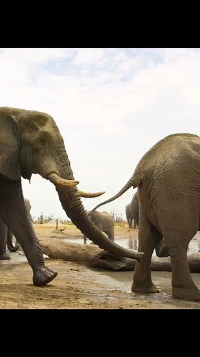 4.6K views · 31 reactions | Amazing beautiful nature on Reels | Facebook