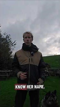 Training an American Akita!