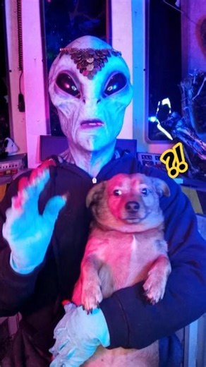 Alien's research on the human 'baby' sub-species! #alien #dog #shorts