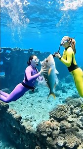 “Big Fish Catch by Two Friends — What a Moment!”#BigFishCatch #FriendsFishing