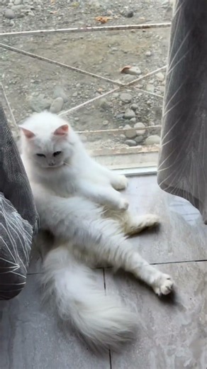 Sitting pretty