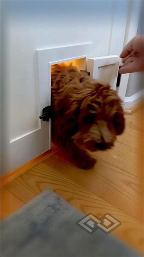 Doogie door custom built for my daughters play room #puppylife #doggieshorts #cutepuppy #cutedogs