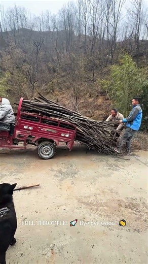 Legendary Truck Driver Skills! 🚛💨 Inertia Unloading LEVEL 100! 💯 #worklife #skills