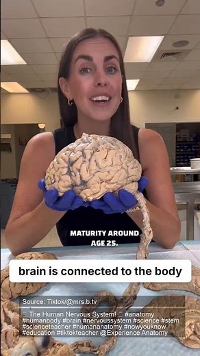 Exploring the interconnectedness of brain, mind, and body.