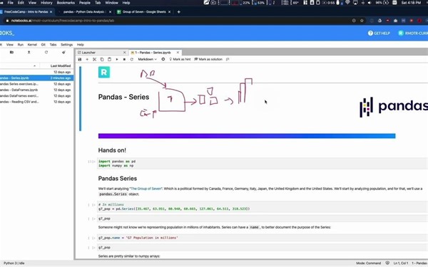 Pandas Introduction - Data Analysis with Python Course