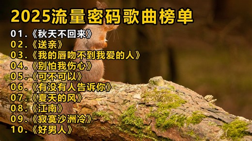 2025流量密码歌曲榜单《秋天不回来》《送亲》《我的唇吻不到我爱的人》《别怕我伤心》《可不可以》《有没有人告诉你》《夏天的风》《江南》《寂寞沙洲冷》