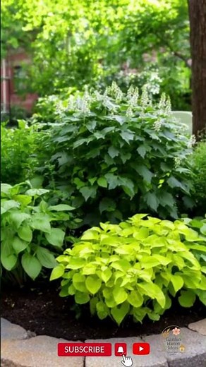 🌿 Tiny Homes with Cozy Courtyards 🏡 Compact Garden & Backyard Oasis Ideas ✨